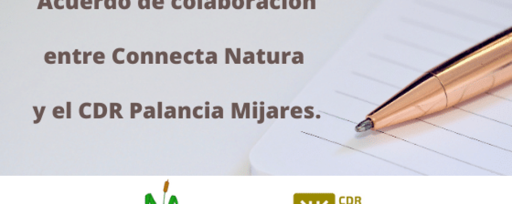 20200919 - Acuerdo CDR - CN