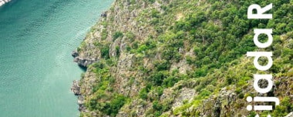 ENCRUCIJADA-RURAL-15-1-380x537