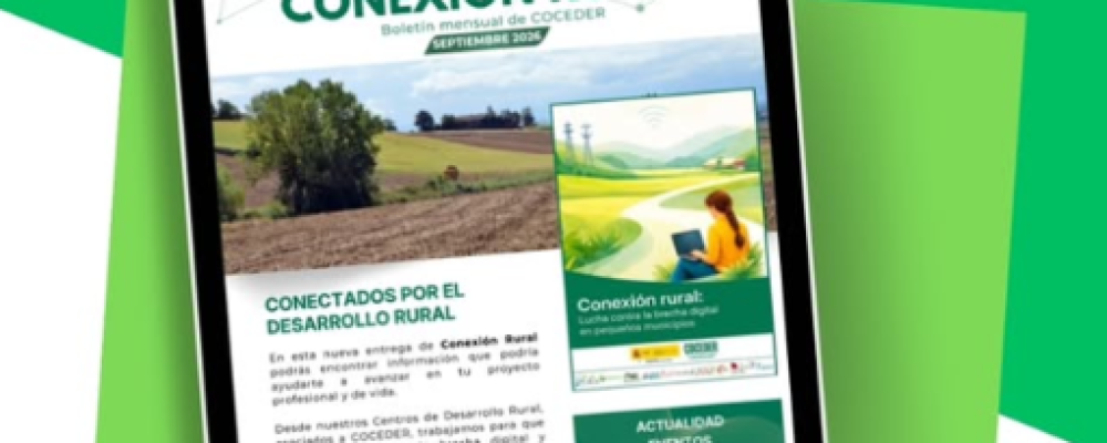 conexión rual