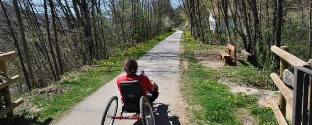 discapacidad en el mundo rural