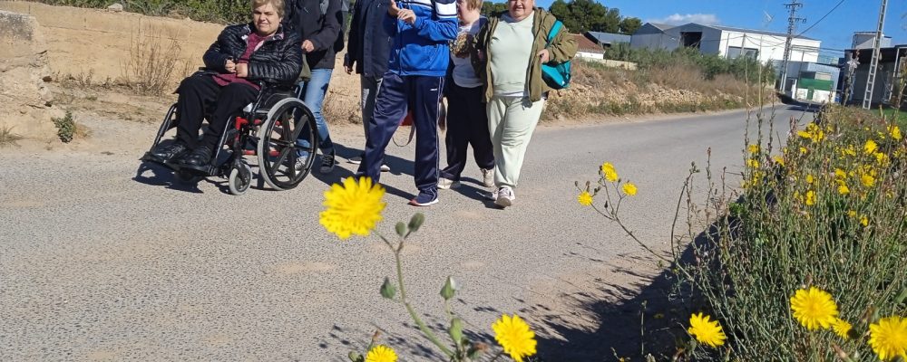 Diversidad funcional camino de la Cartuja de Vall de Crist.