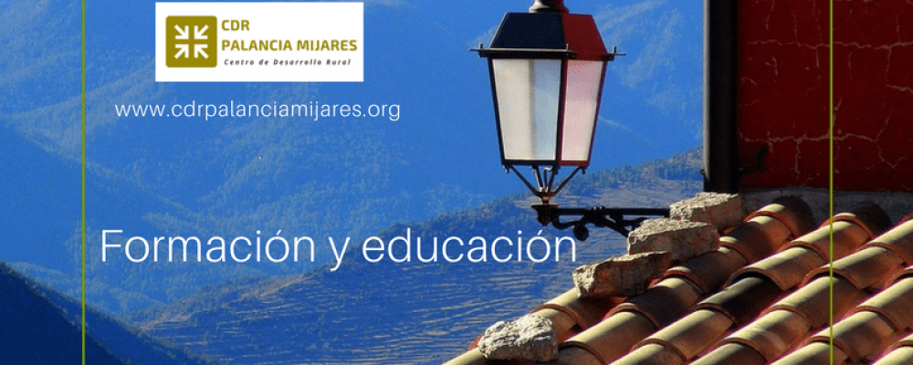 formación y educación2